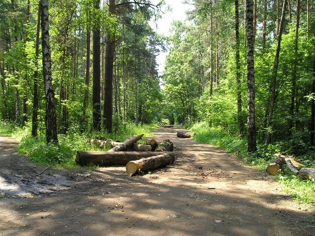 Рублевский лес